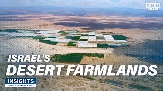 Transforming the Desert (Part 1): Israel's Produce Exportation | Insights: Israel & the Middle East