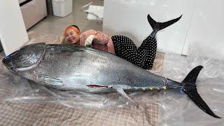 (eng) 150KG!!! 끝판왕 통참치 해체 650만원 지갑파괴술 Cutting a Giant Bluefin Tuna