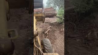 Building fire breaks and moving logs.