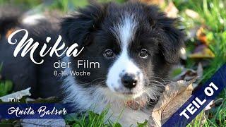 Mika der Film (Trailer) – die Grundsteine für ein Leben in Verbundenheit