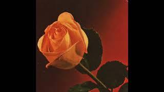 {FREE} Kali Uchis x Reggae Jazz Type Beat "Red Roses"