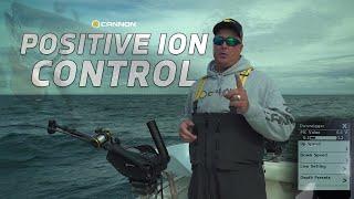 Cannon Downrigger Positive Ion Control