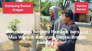 PENANCAPAN BENDERA PAMLOK BERSAMA MAS WENY ANDRIATMOKO DI KAMPUNG BONSAI KRAGAN REMBANG