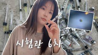 시험관 브이로그, 어느덧 시험관 6차, 중급배아 이식,  3일 배양 신선 이식,  과연 이식 결과는..?