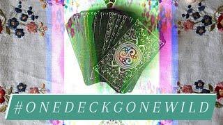 Are you ready to take a walk on the wild side? #onedeckgonewild #tarotattheendoftherainbow