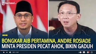 Ahok Bongkar Aib Pertamina, Andre Rosiade Minta Presiden Pecat Ahok Karna Bikin Gaduh