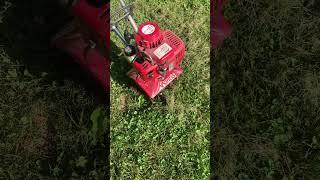 Tilling the garden weeds.