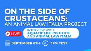 On the Side of Crustaceans: Interview with Aquatic Life Institute and Animal Law Italia