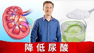 (简体)如何從肾脏排出尿酸？什麼造成高尿酸？尿酸功用是什么？