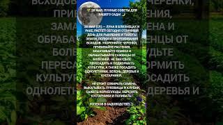 Лунные советы для сада на 28 мая #лунныйкалендарь #садогород #28мая