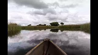 Okavango Delta - The 10 of the Best Places to Visit in Botswana