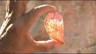 An Ametrine's Journey from Mine to Market