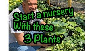 Start your nursery with these three plants!  Backyard Growing// Starting a beginner nursery