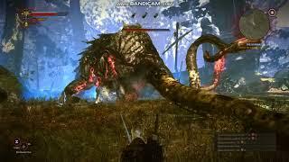 witcher2 kayran  위처2 문어 케이랜 공략