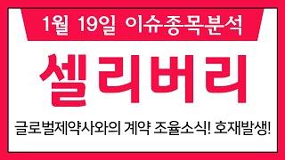 셀리버리 (268600) 글로벌제약사와의 계약 조율소식! 호재발생!