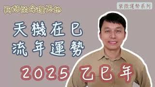 【紫微斗數】天機在巳 流年運勢｜2025 乙巳年