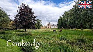 Day trip to Cambridge from London