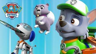 Роки и робо кучето спират излязла от контрол играчка робот! PAW Patrol Bulgarian карикатури за деца