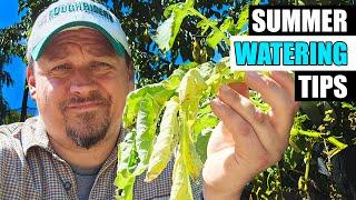 3 Summer Watering Tips - Garden Quickie Episode 203