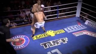 Andrew Tate Highlights. Kickboxing/K1/Muay Thai Motivation.