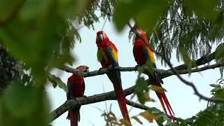 JACO, COSTA RICA