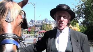 Horse-Drawn Carriage Tours in Victoria, BC