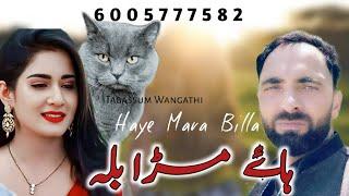 Haye Mara Billa|Dogri Song|Pahari Song|Tabassum Wangathi