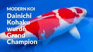 Die erste World Nishikigoi Show in Mihara | Modern Koi Blog #7075