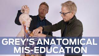 Anatomical Mis-Education with 'Grey's Anatomy''s Kevin McKidd and Greg Germann