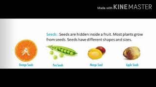 SUBJECT: SCIENCE    TOPIC: PARTS OF A PLANT PART- 1