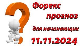 Форекс прогноз для начинающих: путь к профессиональному трейдингу