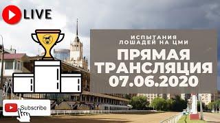 07.06.2020. Прямая трансляция с ЦМИ. Первые летние призы. 