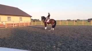 Matt Frost Dressage Demo at Priory Farm Equestrian in 2014