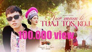 NT One - Kuv Mam Li Tuaj Tos Koj [Official Musics Video] Hmong New Song 2024, Nkauj Tawm Tshiab 2024