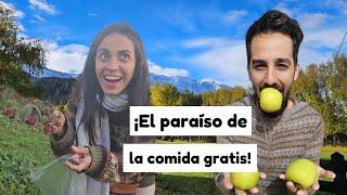 Argentina GRATIS | Viajando BARATO por La Patagonia | VLOG