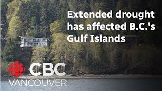 How extended drought has affected B.C.'s Gulf Islands