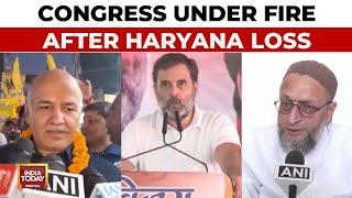 Congress Faces Backlash Post Haryana Defeat, Allies Urge Reflection | Haryana Election 2024 Results