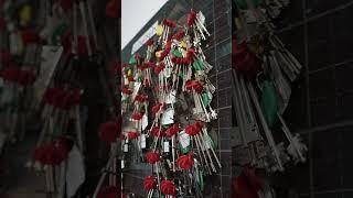 Посмотрите на эти счастливые лица новоселов! Желаем тепла, гармонии и любви в доме🩵