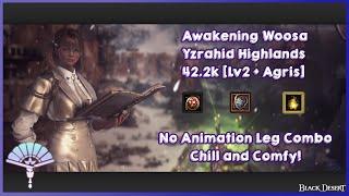 Yzrahid Highlands | Awakening Woosa 330AP | 42.2k [Lv2+Agris] | Black Desert Online