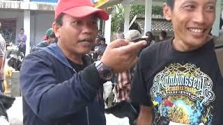 Disilah Pusatnya kambing Pe ras kaligesing