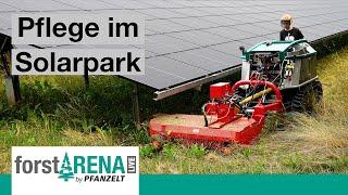 Landschaftspflege einer Solar Freiflächenanlage | Mulchraupe Moritz von Pfanzelt und Humus Mulcher