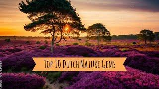 Top 10 Hidden Nature Gems in the Netherlands