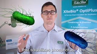 Sales Series - What is XiteBio® OptiPlus®