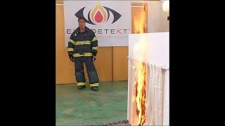 Electrical Fire Simulation.  Smoke alarms vs.  Flame Detection