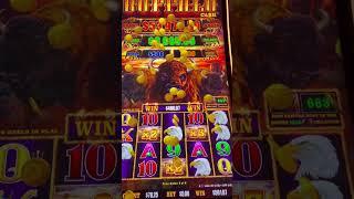 #jamul #casino #buffaloslotmachine #casinogames $5.00 bet #x7 bonus #pays #️