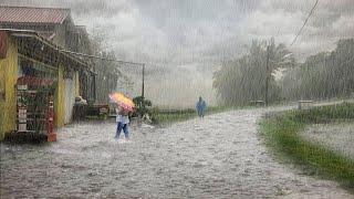 Heavy Rain Walks in Beautiful Village Life | Fear of Flood!!! Rain for a Long Time to Sleep, ASMR