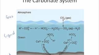 Water Chem Alkalinity Part 1