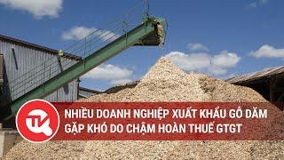 Nhiều doanh nghiệp xuất khẩu gỗ dăm gặp khó do chậm hoàn thuế GTGT | Truyền hình Quốc hội Việt Nam