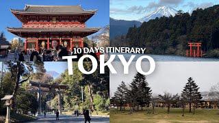 10 days in Tokyo Japan  Places to visit, things to do, cafes, restaurants & street foods