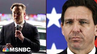 'It just seems to make no sense': DeSantis to share his big announcement with Elon Musk